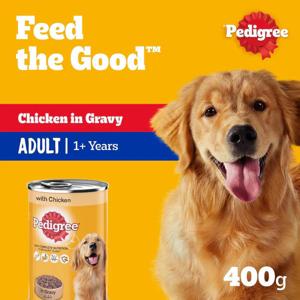 Pedigree Chicken Chunks in Gravy Wet Dog Food - 400G (Sale)