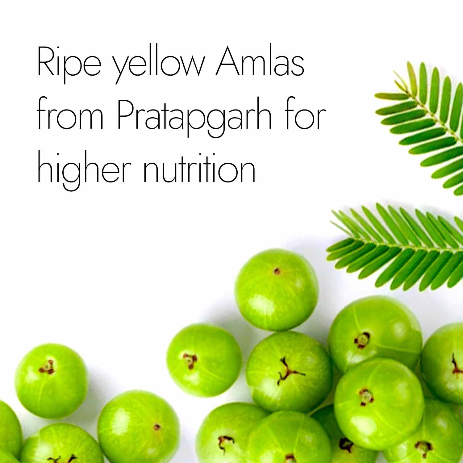 كابيبا تريفالا 60 كبسولة