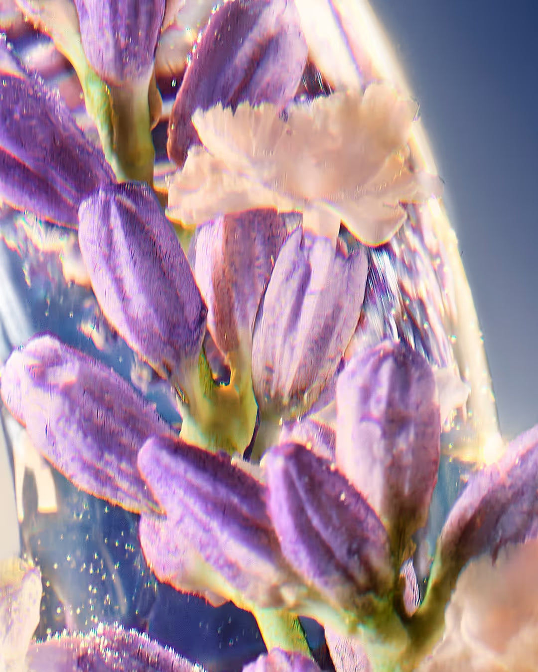 Cool Elixir Parfum