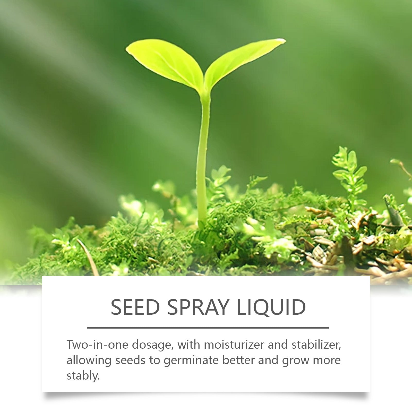 Boost Your Grassland Planting, Fast Germination, Lush Green Lawn Spray ,59ml