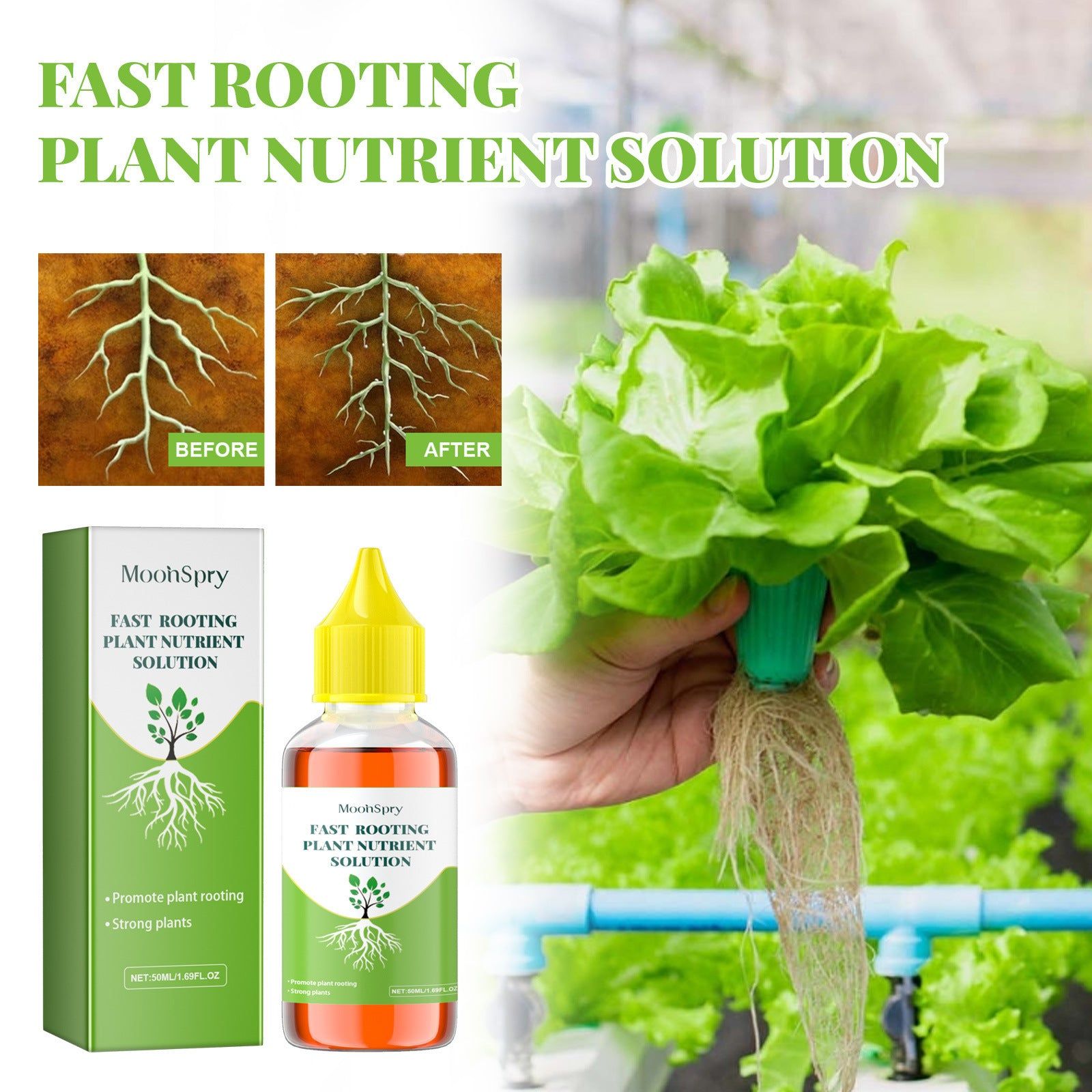 Boost Plant Growth Fast, Organic Plant Nutrient Solution for Healthy Roots and Vibrant Flowers ,50ml