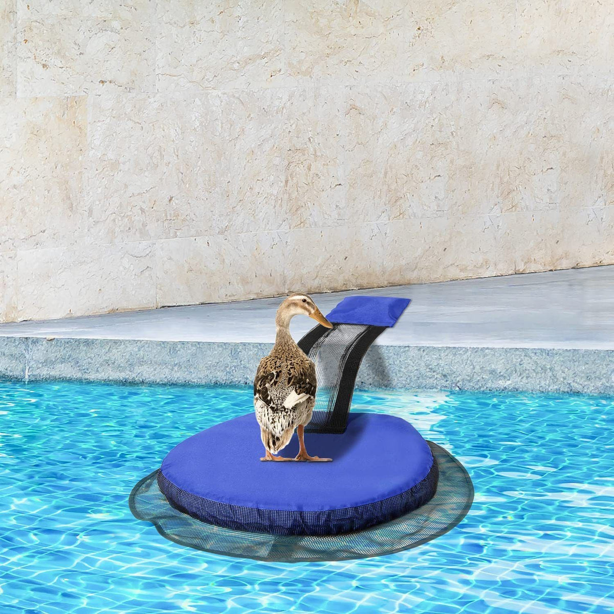 Animal Escape Ramp Swimming Pool Floating Animal Saver Inflatable Frog Saving Escape Ladder Pad