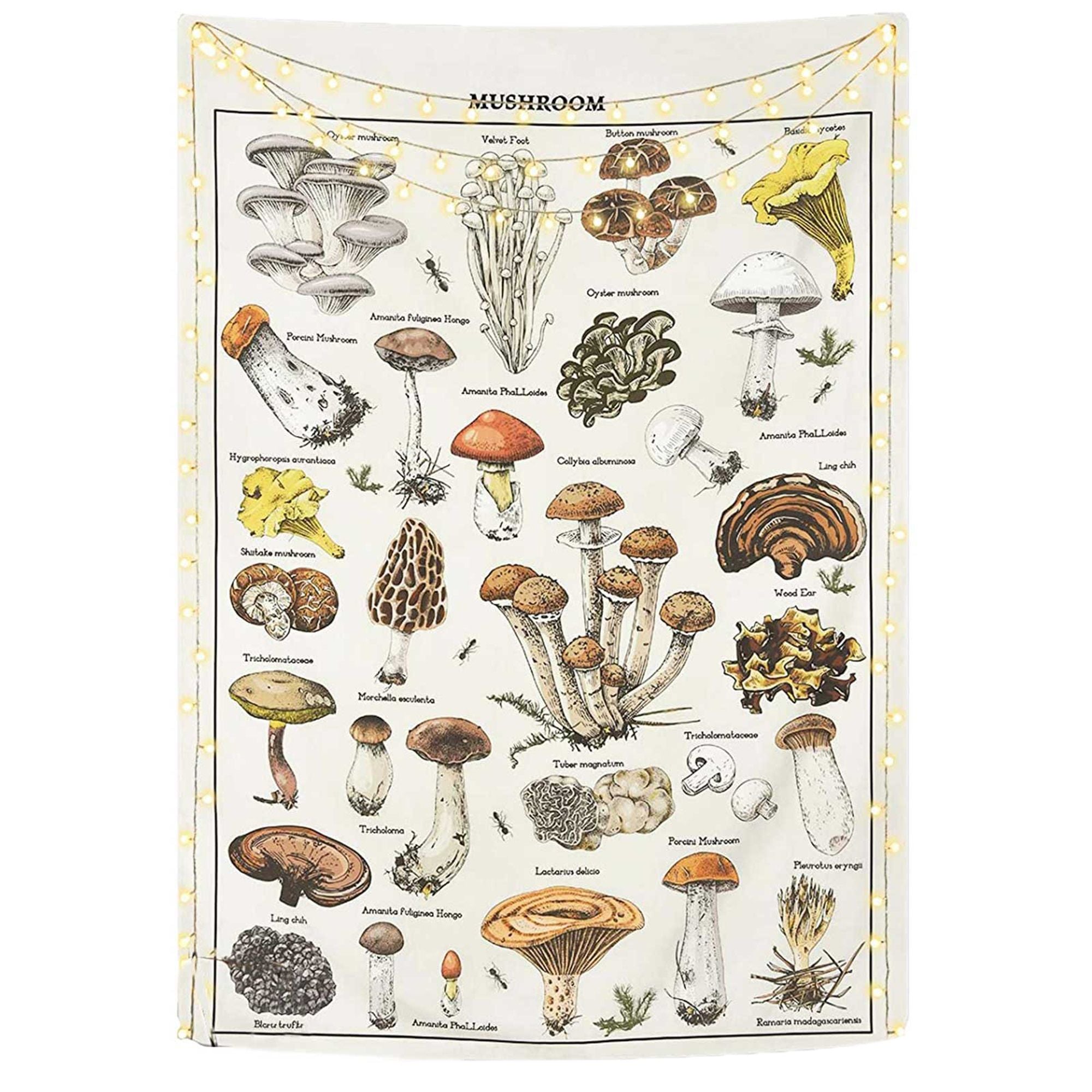 Retro Tapestry Mushroom Chart Wall Hanging Art Décor Sun Moon Printed Wall