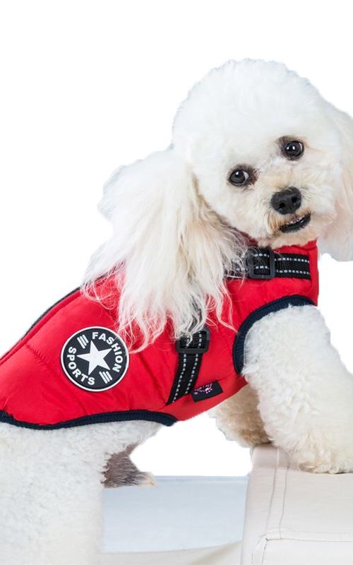 Dog Warm Coat Waterproof Pet Autumn Winter Reflective Vest Cotton Clothes