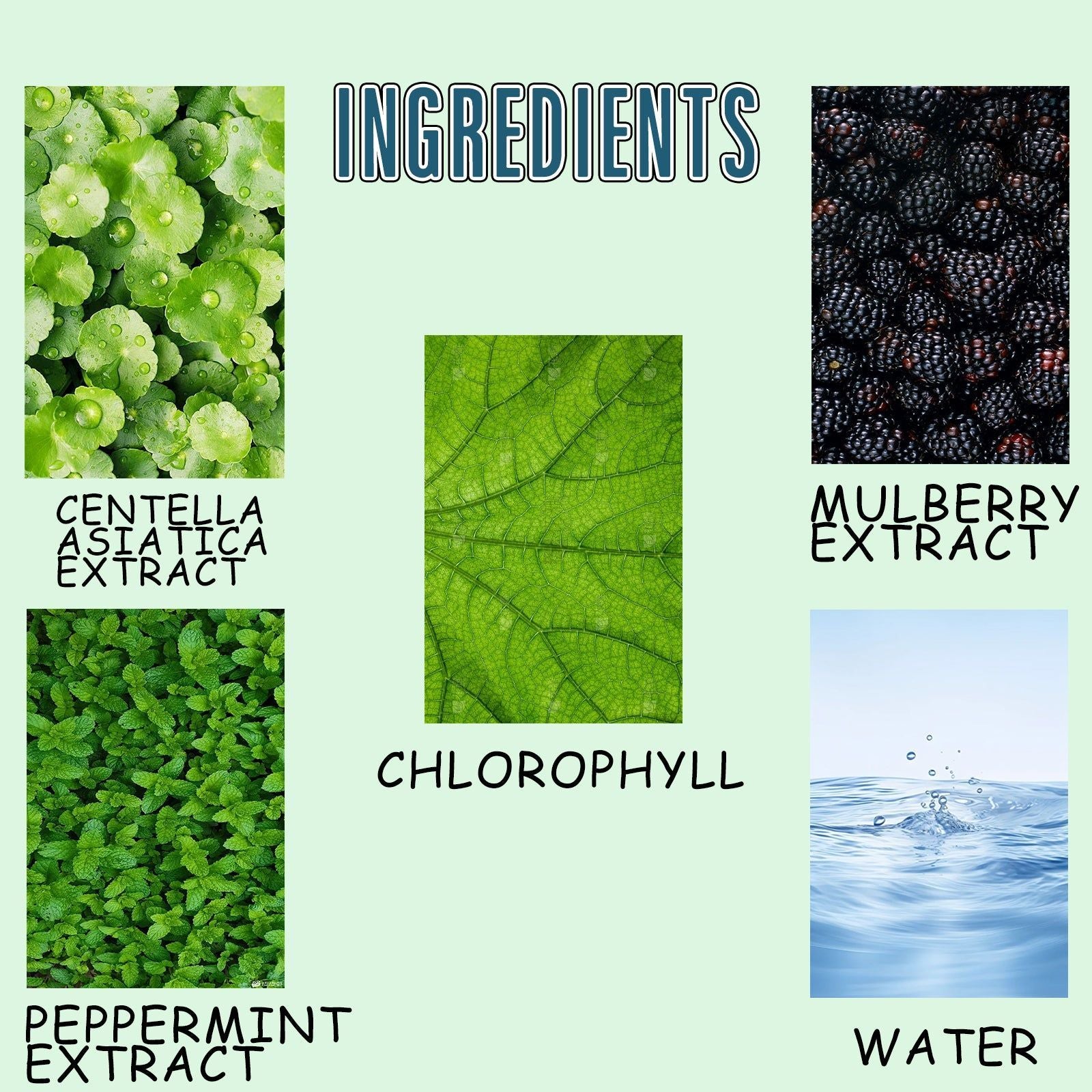 Boost Your Body Care, Fresh Breath, Weight Loss, Natural Chlorophyll Drops ,60ml