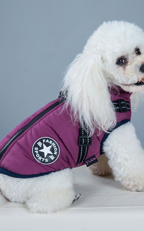 Dog Warm Coat Waterproof Pet Autumn Winter Reflective Vest Cotton Clothes