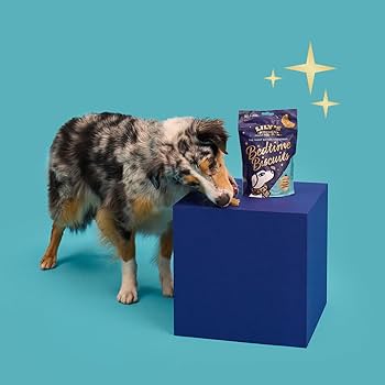 Lily's Kitchen Bedtime Biscuits Dog Treats 80G