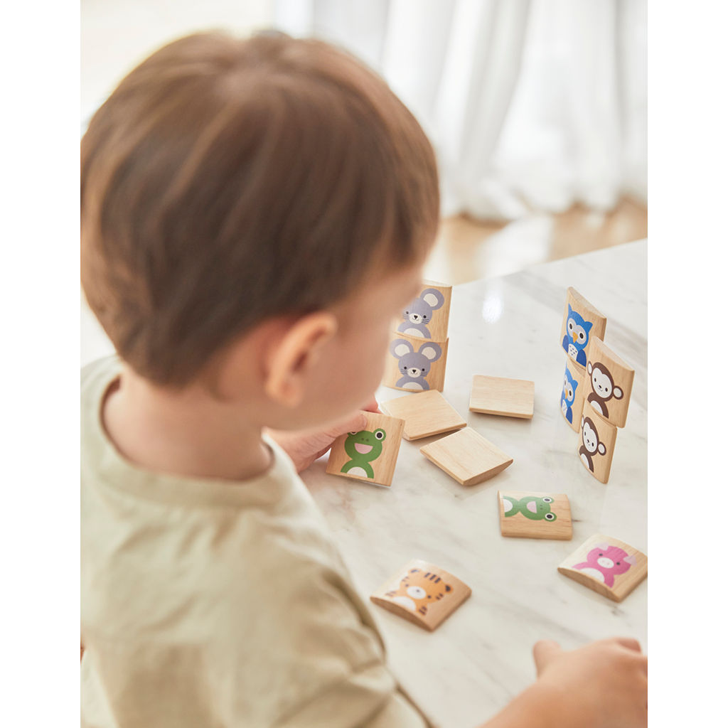 PlanToys Animals Memo