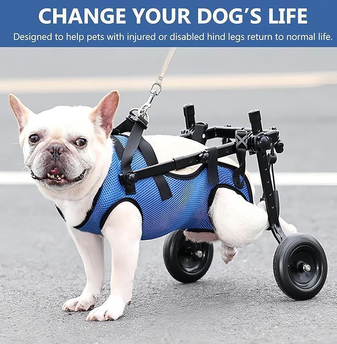 Dog Wheelchair Adjustable Pets Cart with Wheels for Back Legs
