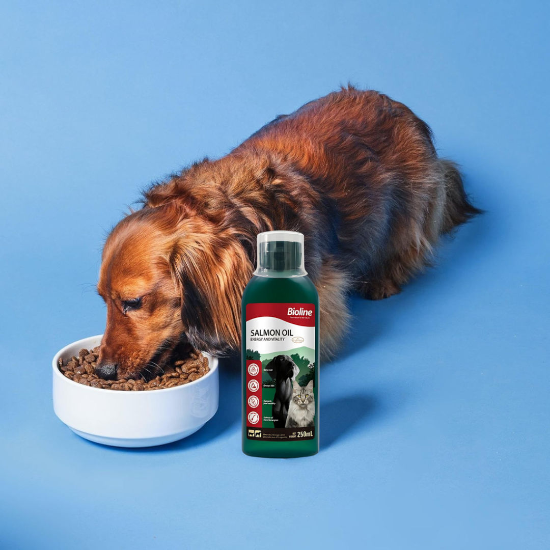 Bioline Norwegian Salmon Oil Energy And Vitality Dog And Cat, 250ml