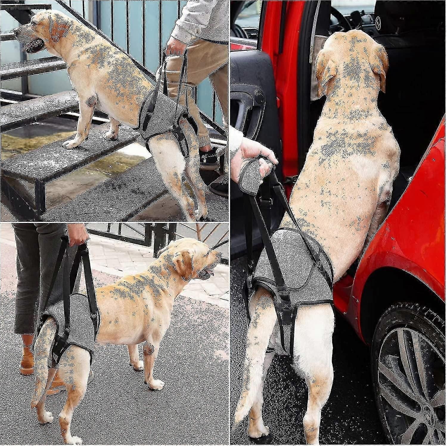 Dog Sling For Large Dogs Hind Leg Support To Help Rehabilitate The Hind Limbs Of Elderly Dogs With Weak Hind Legs Disabilities zxin