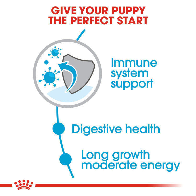 Royal Canin Size Health Nutrition Maxi Puppy