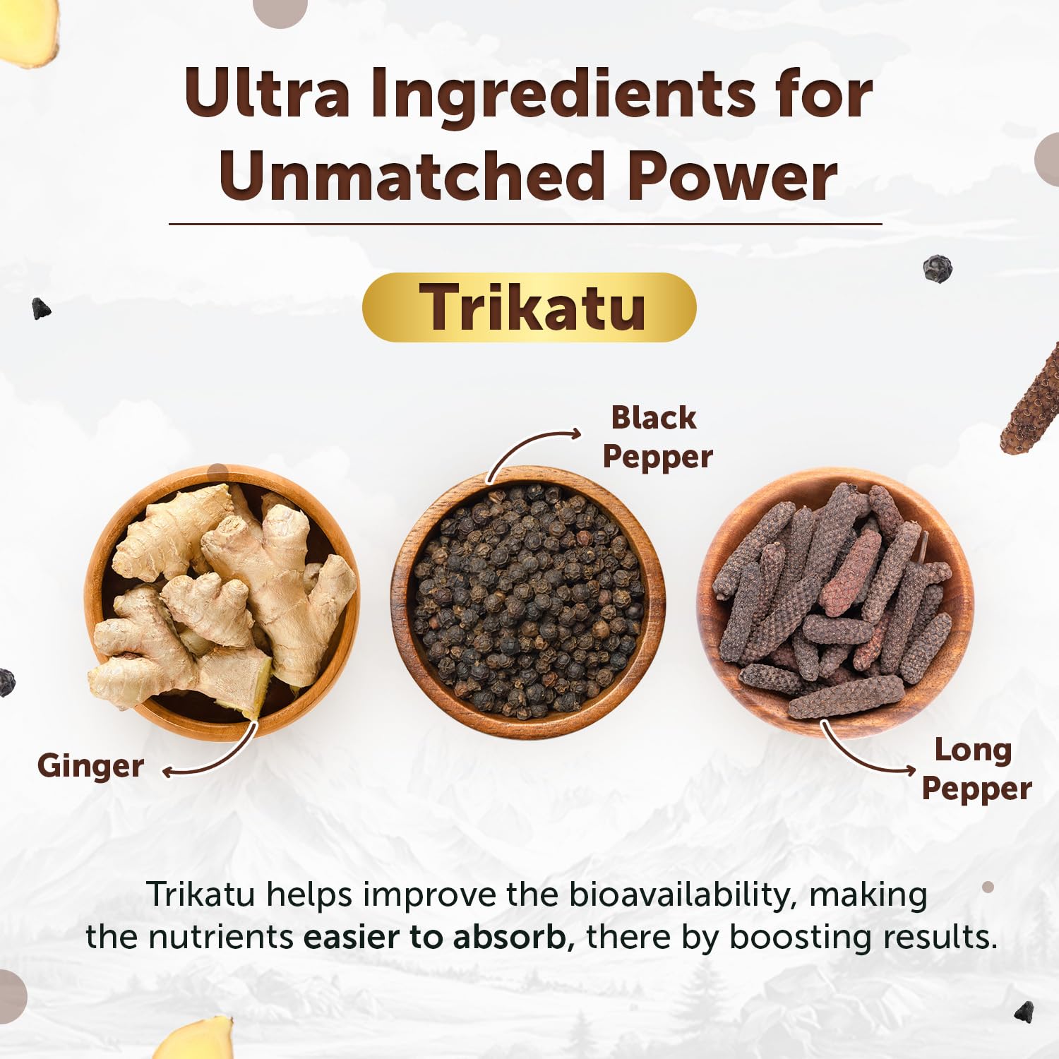 Neuherbs Shilajit Gold Ultra Resin - 20g