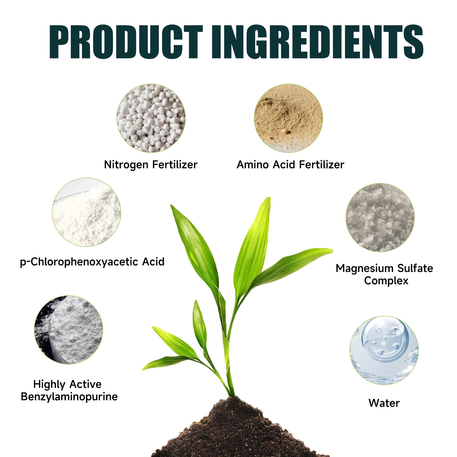 Boost Plant Growth with Organic Nutritional Solution, Fertilizer for Healthy Lush Gardens ,30ml