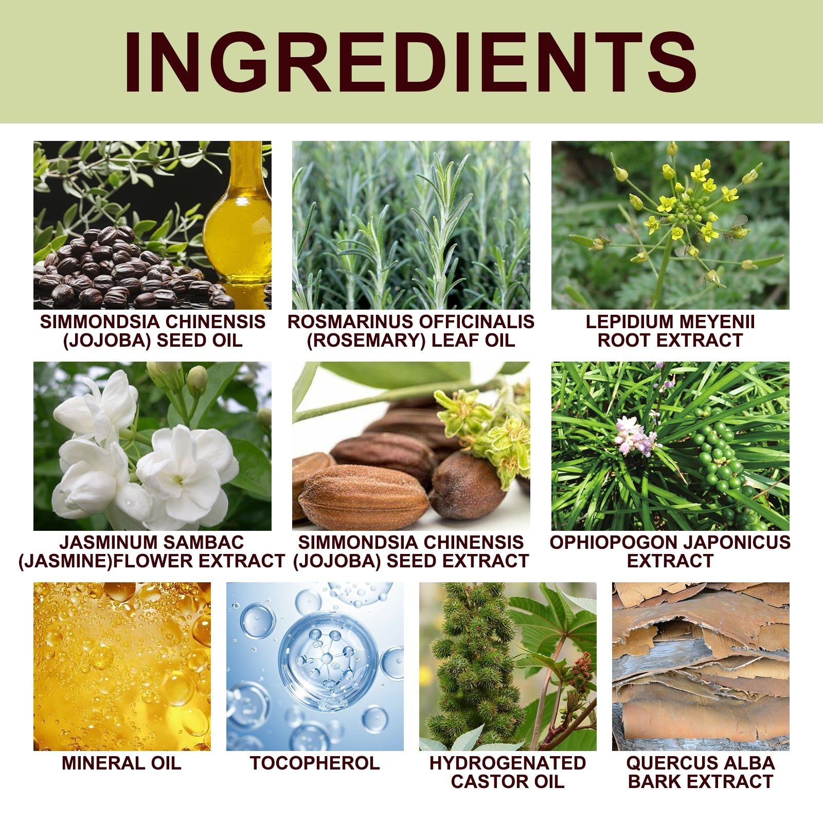 Boost Vitality with Men's Essential Oil, Enhance Performance, Moisturize, Natural Care ,10ml/box
