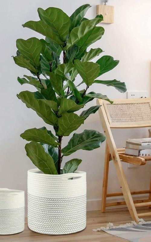 Mini Woven Jute Cotton Rope Plant Storage Basket for Home