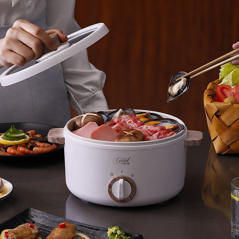 Electric Cooking Pot Multifunction Small Electric Cooker For Cooking Steaming Hot Pot