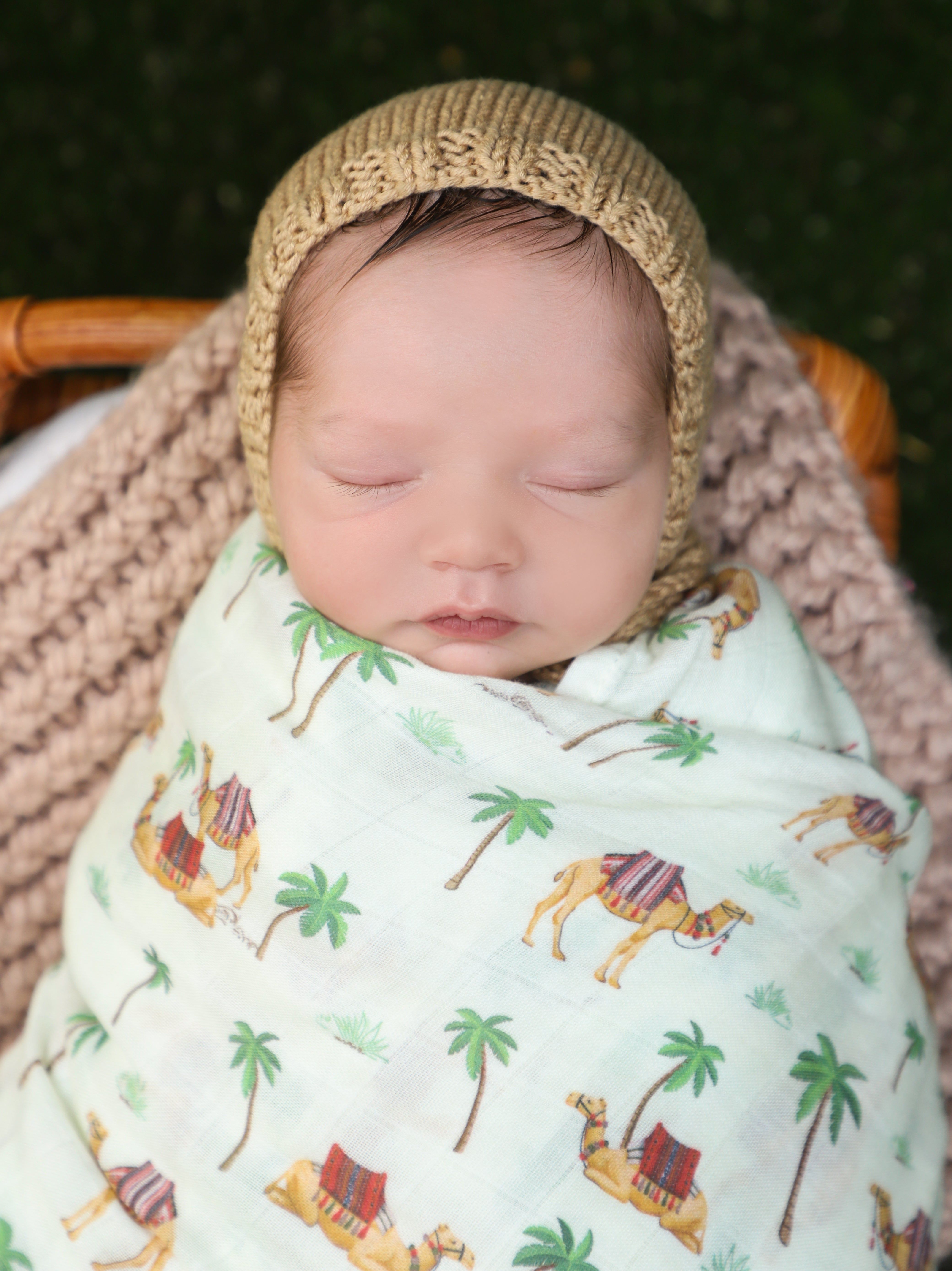 Desert Dreams Bundle