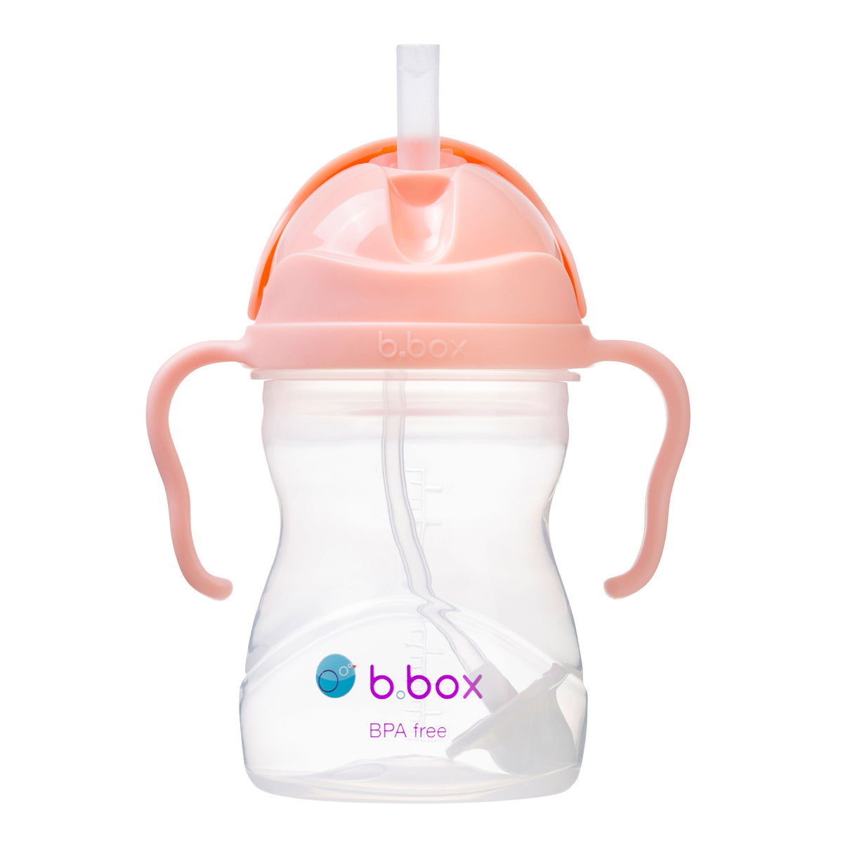 Sippy Cup-Tutti fruitti