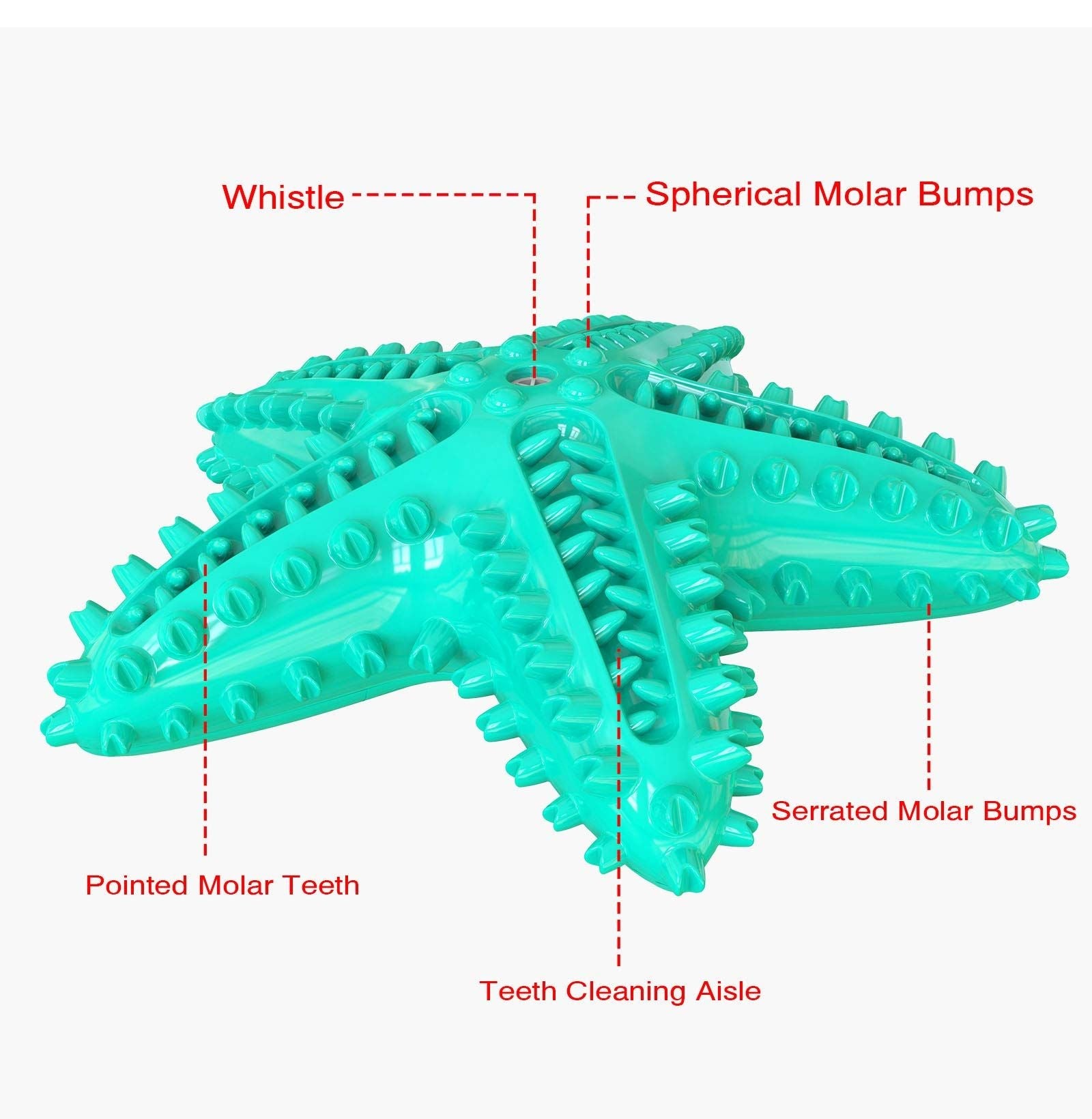 Dog Chew Toy Toothbrushes Starfish Squeaky Molar