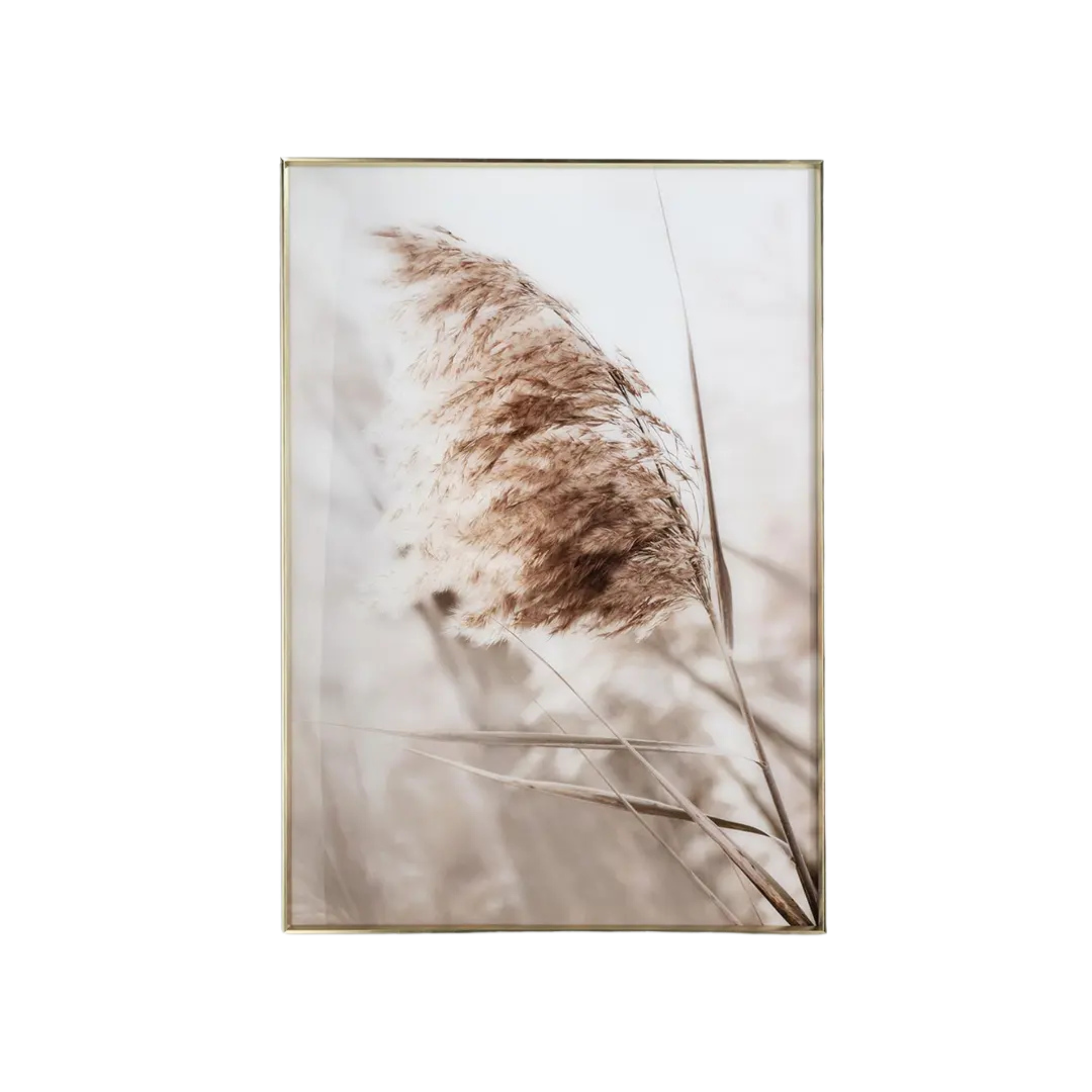 Breeze A Print 70x100cm