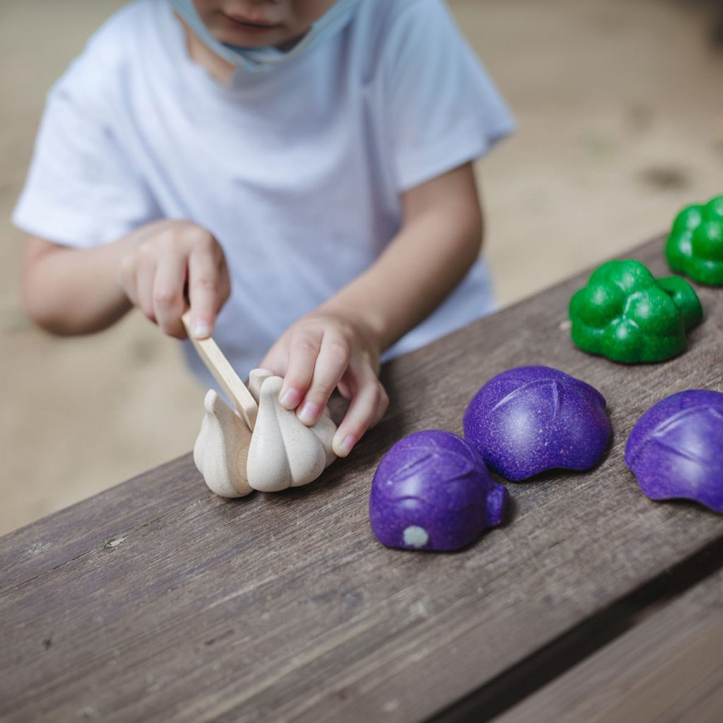 PlanToys 5 Colors Veggie Set — Wooden Pretend Play Food