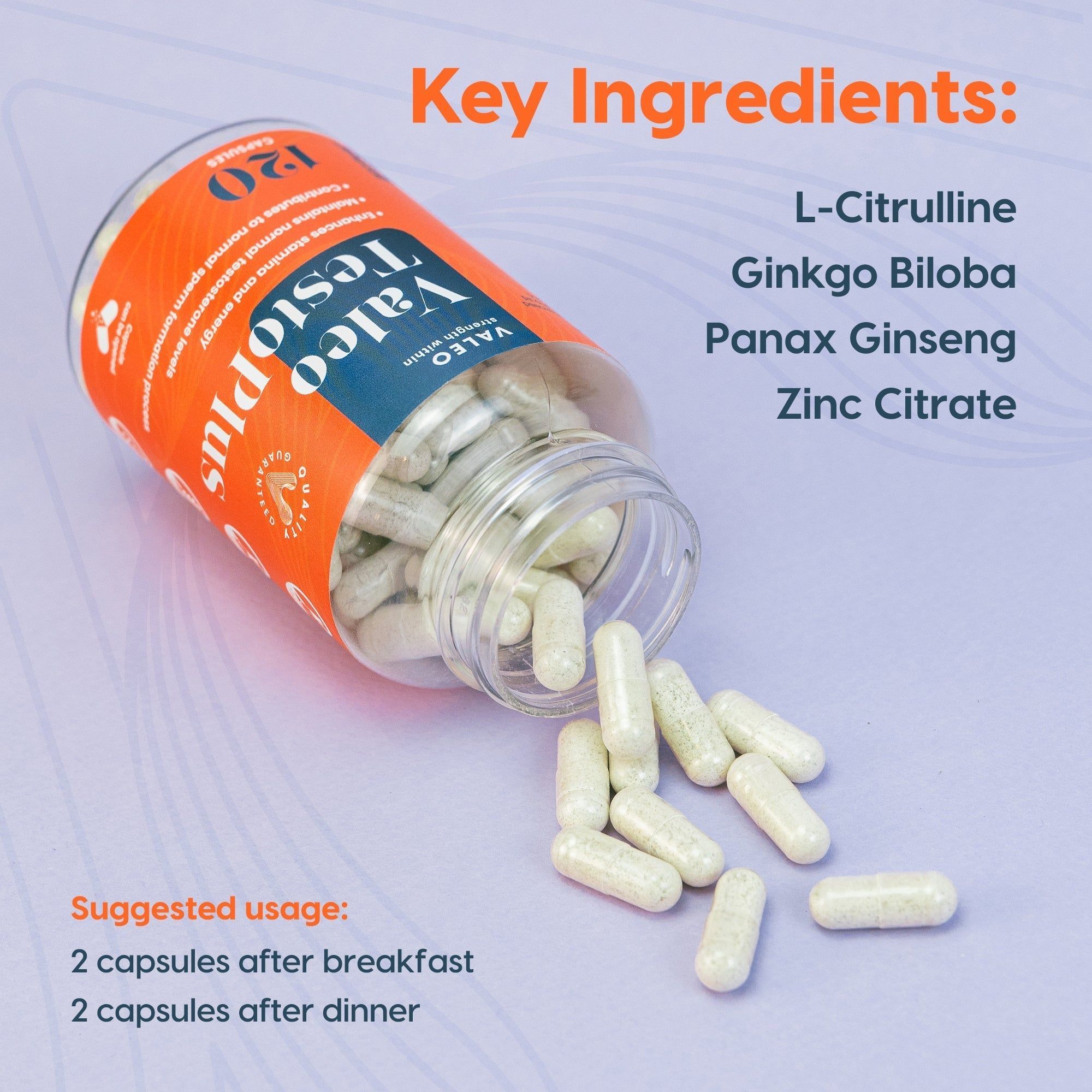 Mens Performance combo : Valeo Testo Plus and Shilajit Resin 20Gm