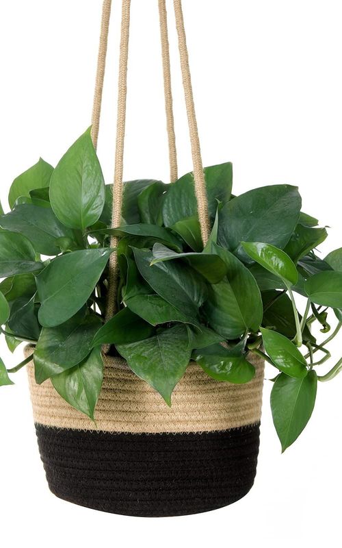 Jute Rope Woven Indoor Plant Hanging Holder For Decor