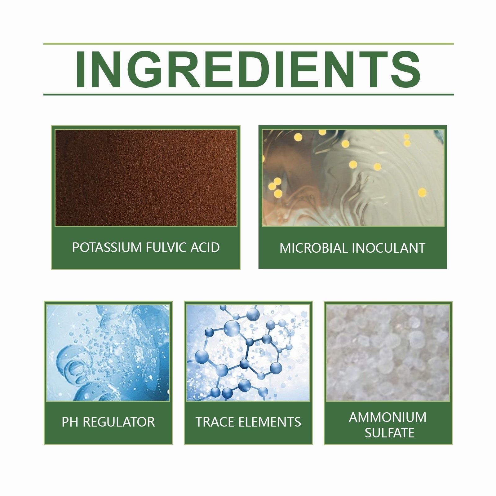 Boost Plant Growth with Soil Nutrient Activation Powder, Fertilizer for Healthy Soil ,200g