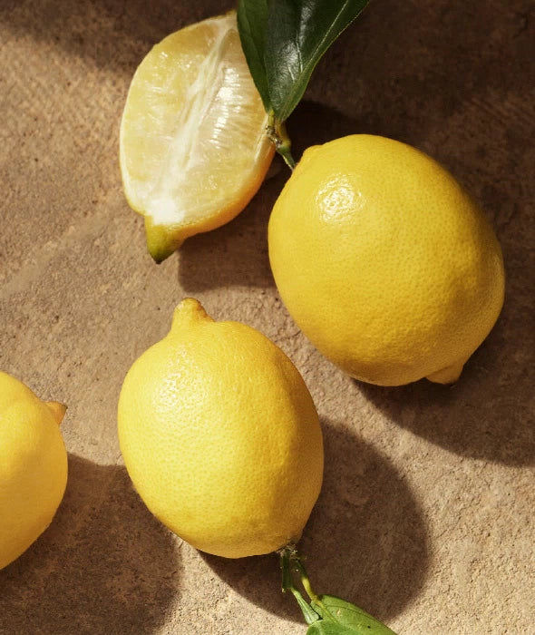 Devotion for Men Eau de Parfum