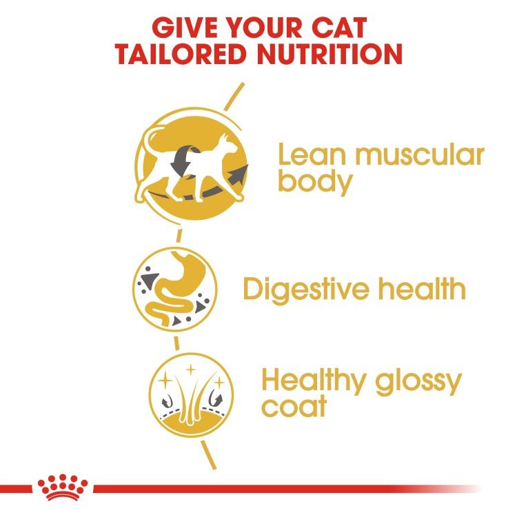 Feline Breed Nutrition Siamese Adult 2 KG