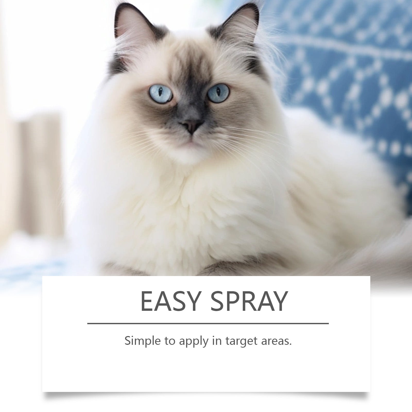 Cat Care Spray, Calm Anxiety, Pheromone Comfort, Reduce Scratching ,30ml/box