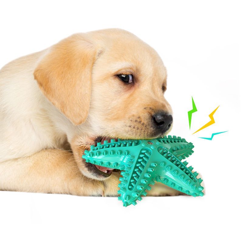 Dog Chew Toy Toothbrushes Starfish Squeaky Molar