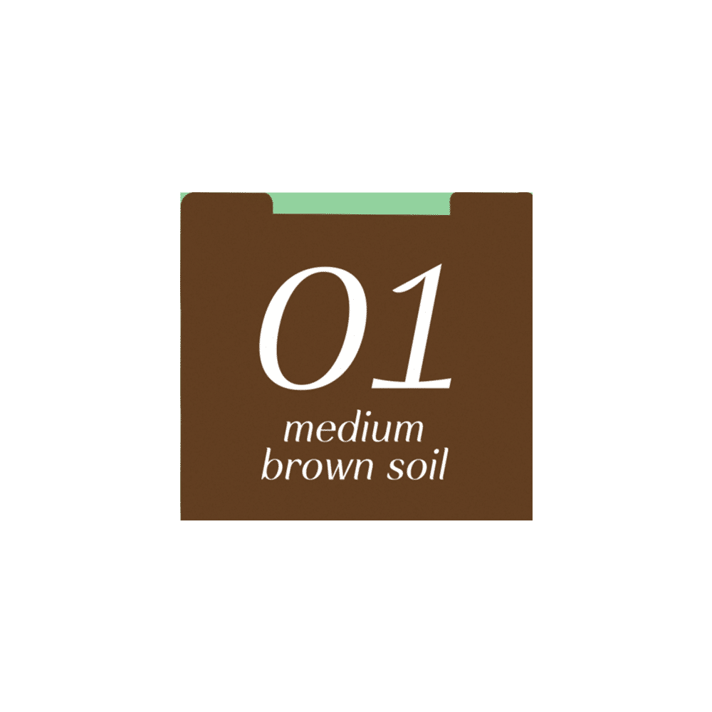 Aloe Vera Gel Eyebrow Liner 0.6g Baby Bright (M) 01 Medium Brown Soil