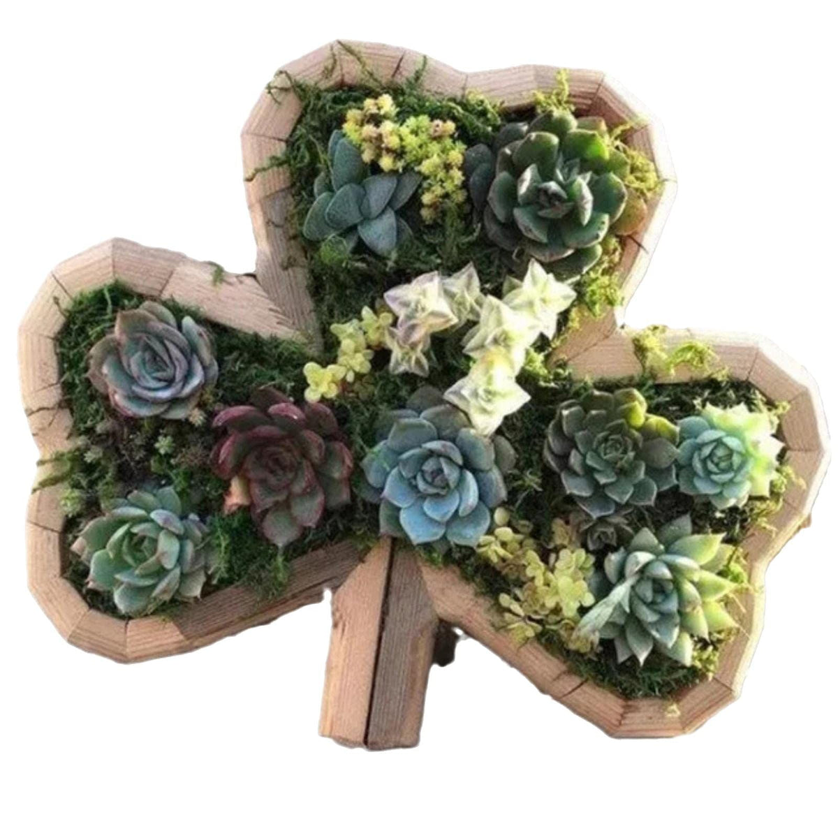 Animal Shaped Wooden Planter Succulent Flower Pot Garden Outdoor Decorations