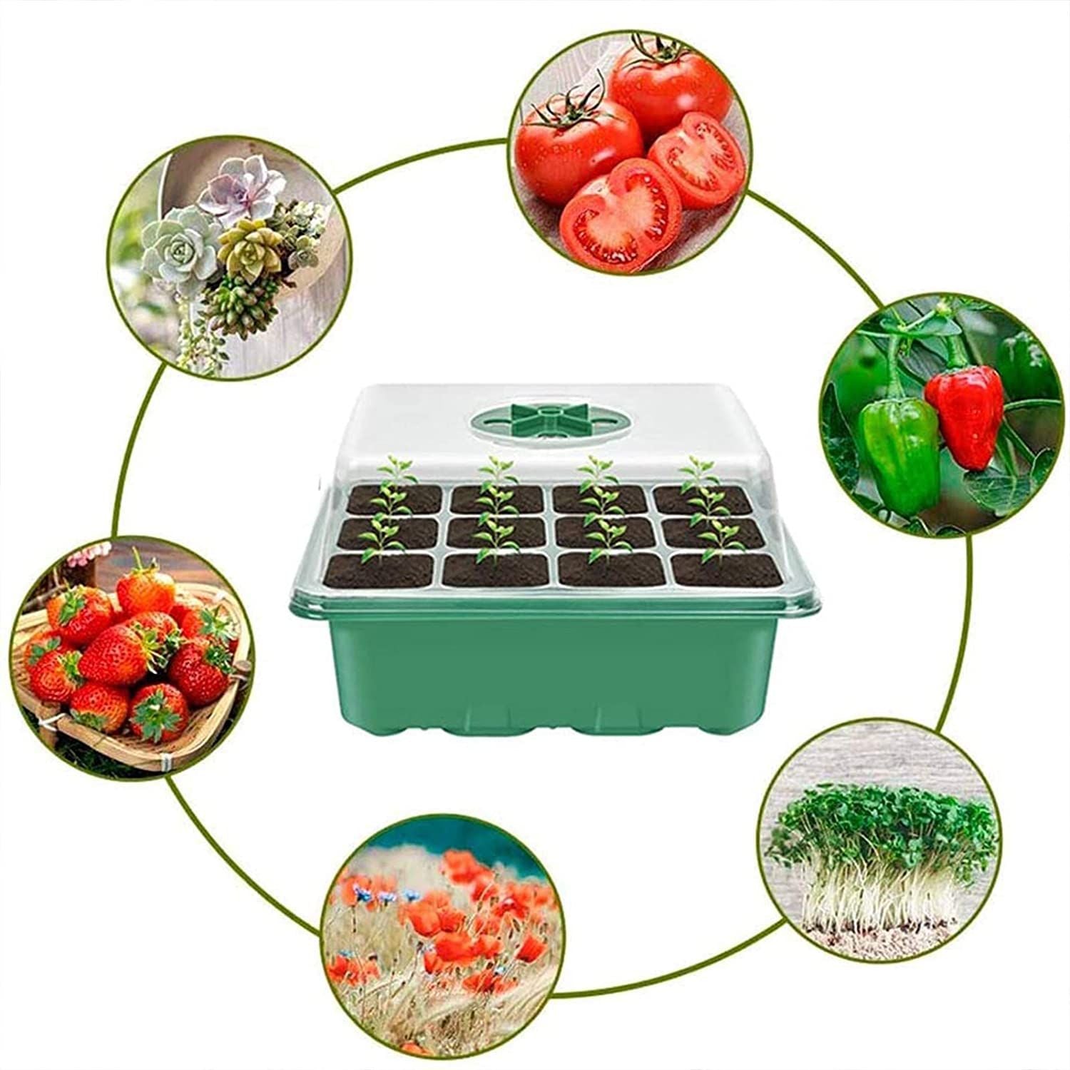Plant Seed Grows Box Seed Starter Kits with Gloves Label Stickers Shovel