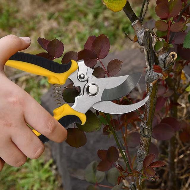Professional Garden Pruning Shears