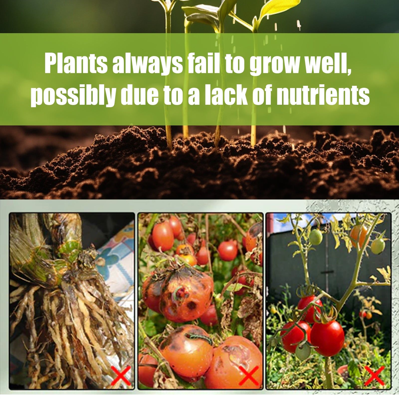 Boost Plant Growth Fast with Catalyst Stick, Fertilizer for Healthy Plants ,18pieces