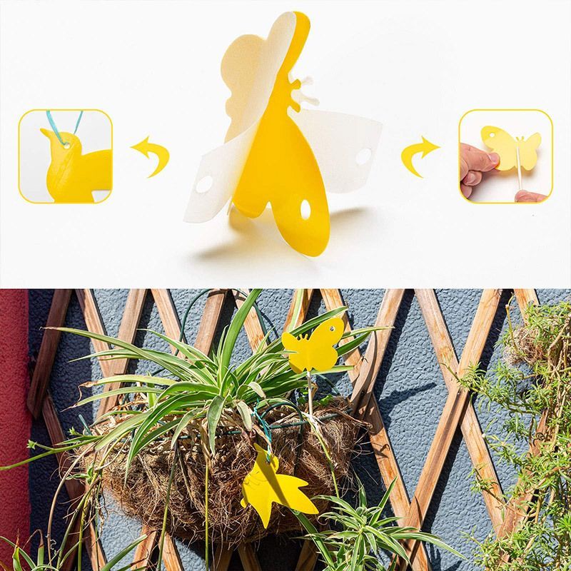 24 Pcs Yellow Sticky Trap Fruit Fly Fungus Gnat Catcher