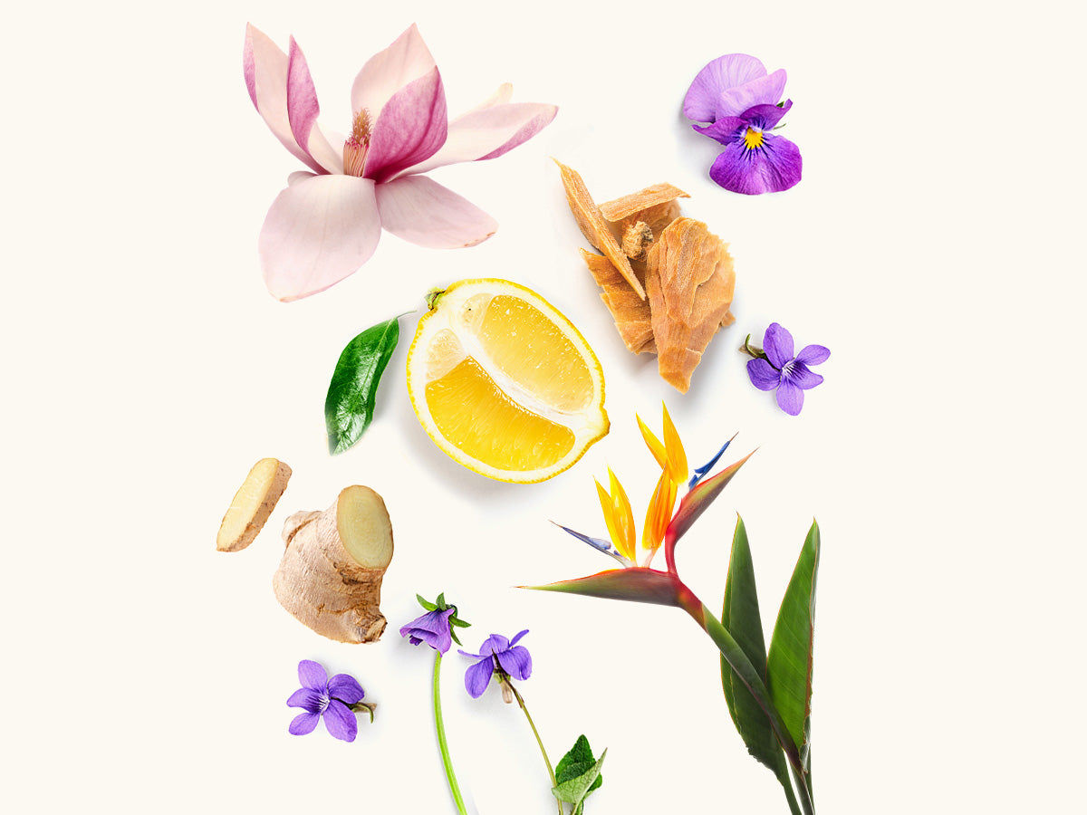 Ginger Eau de Parfum 100ml