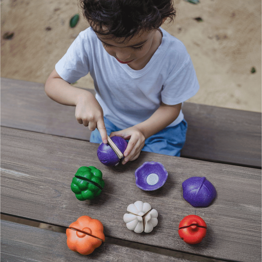 PlanToys 5 Colors Veggie Set — Wooden Pretend Play Food