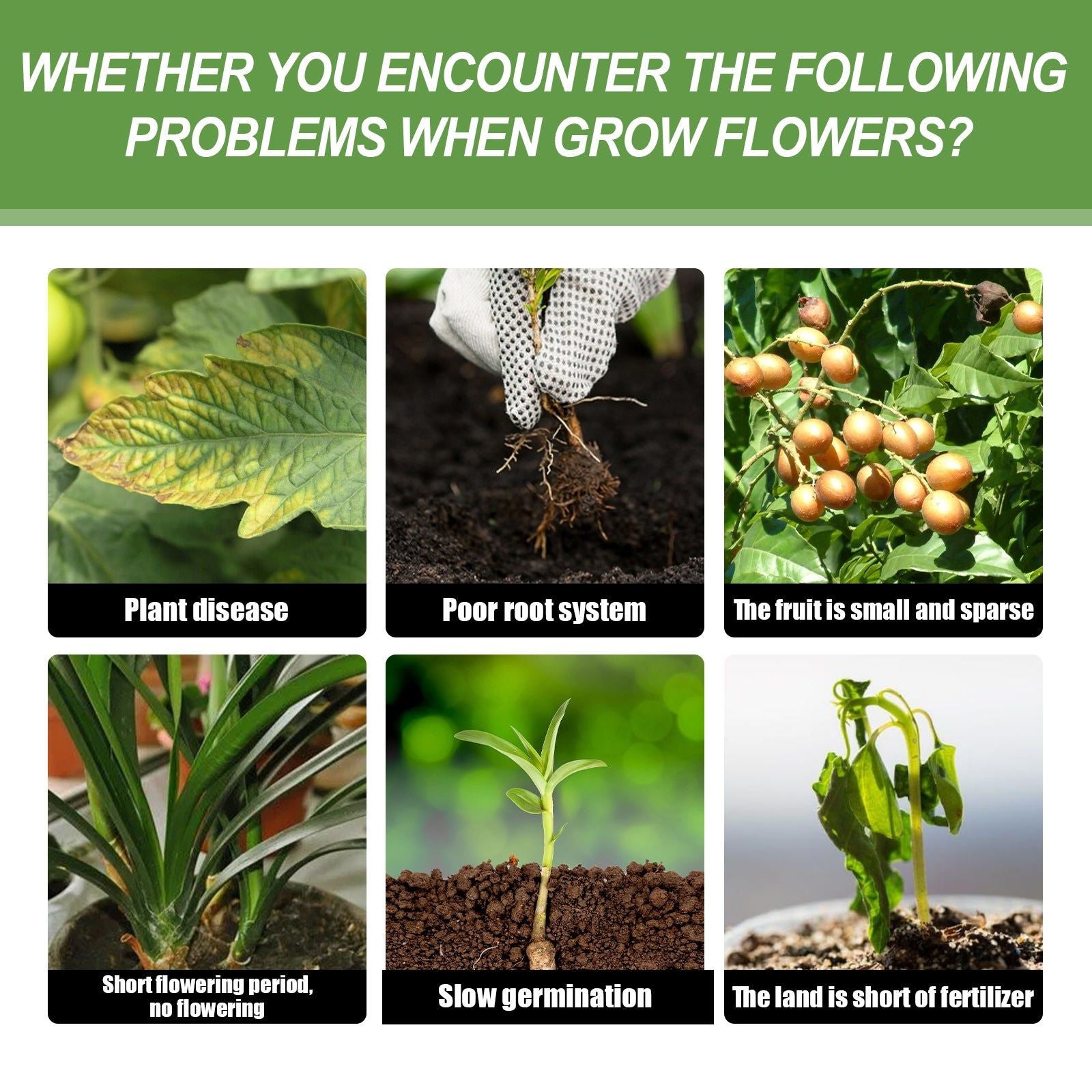 Boost Plant Growth with Nutrient Capsules, Fertilizer for Lush Green Leaves ,30g