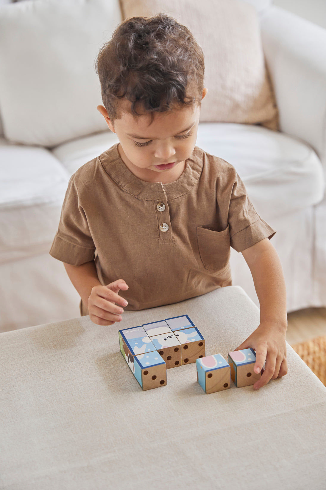 Animal Puzzle Cubes