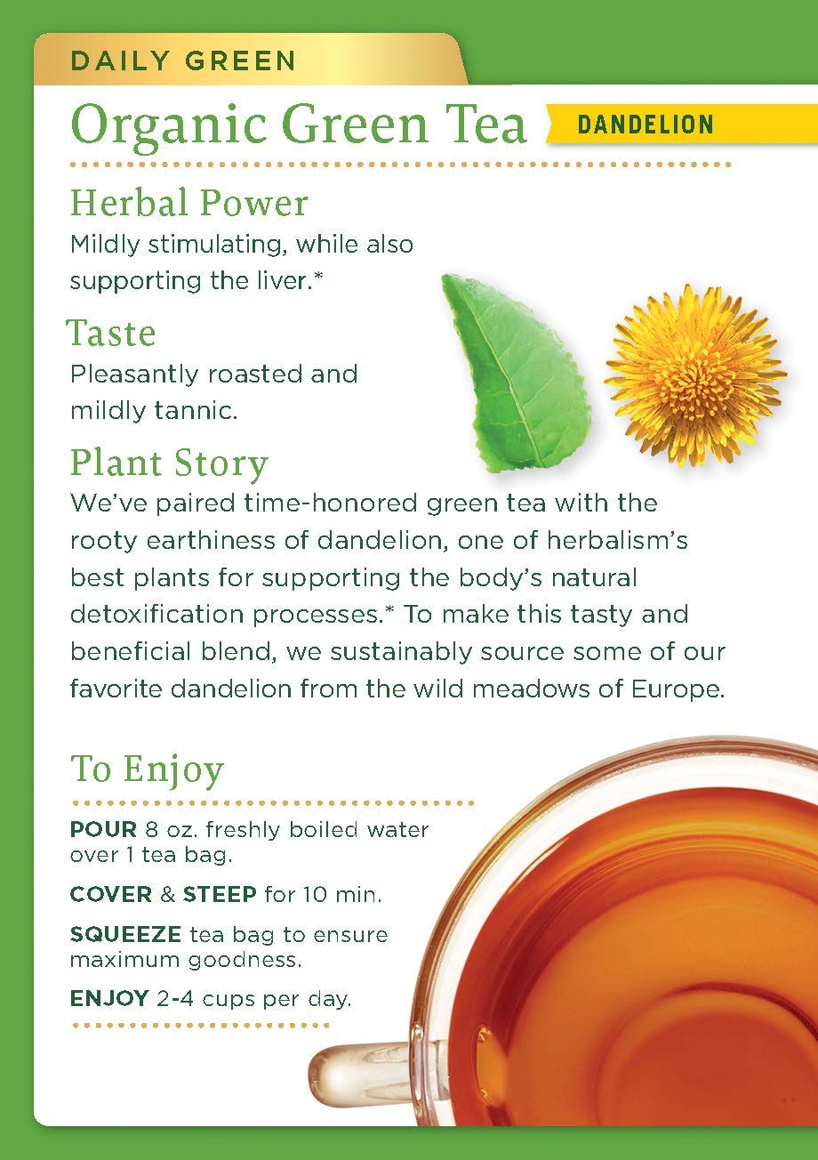 Traditional Medicinals Green Tea Bags - 16 Bags