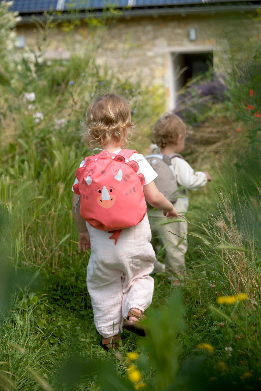Tiny Backpack About Friends - Dino Rose