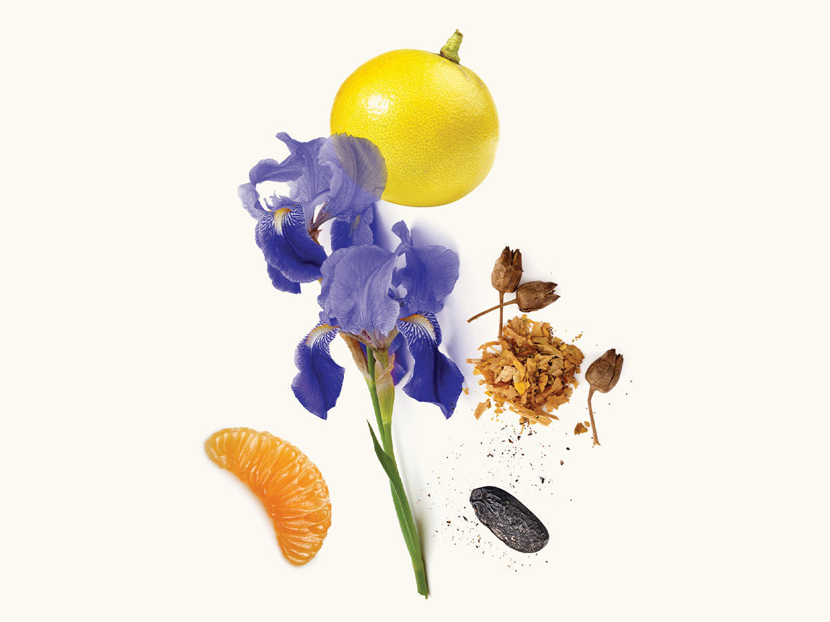 نيويورك عطر مركّز 50 مل