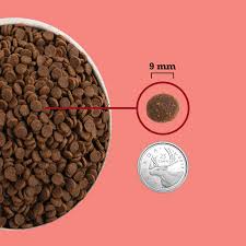 Acana Highest Protein Indoor Dry Cat Food - 1.8kg