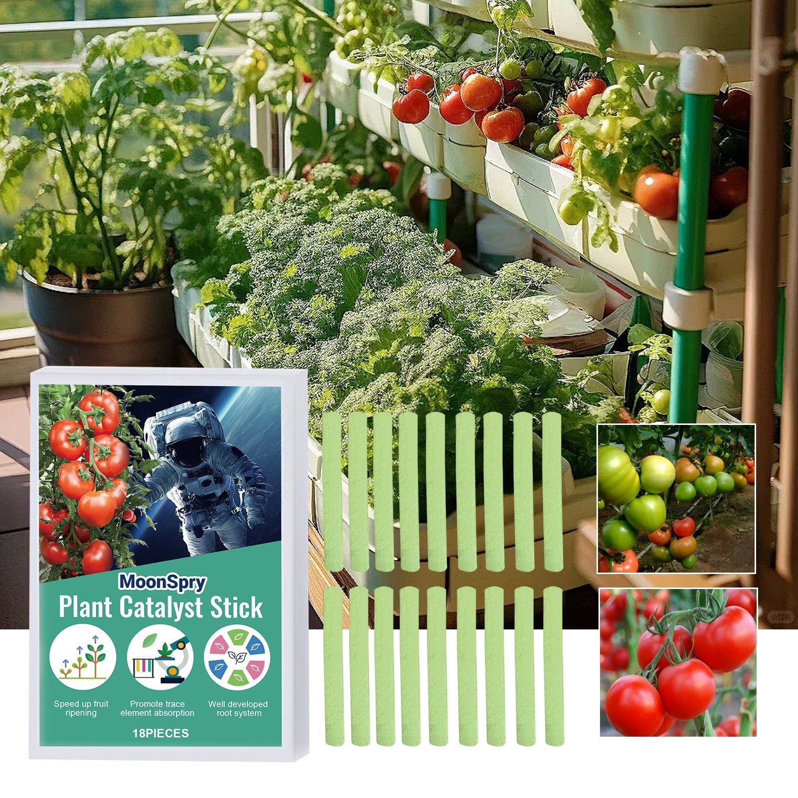 Boost Plant Growth Fast with Catalyst Stick, Fertilizer for Healthy Plants ,18pieces
