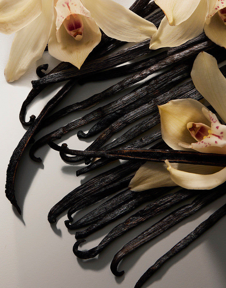 DGVIB3 Eau de Parfum 100ml