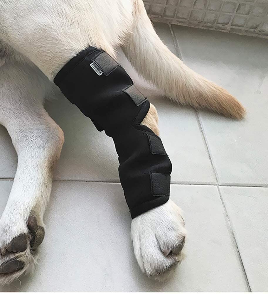 Dog Leg Brace Pet Knee Pads For Injury And Sprain Protection Wounds